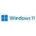 Windows 11 Home 64bit - 1 Lic - Win - English International - USB Stick