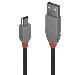Cable - USB2.0 Type A To USB Mini-b - 1m - Anthra Line