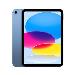 iPad - Wi-Fi + Cellular - 256GB - Blue