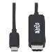 TRIPP LITE USB-C to HDMI Active Adapter Cable (M/M), 4K 60 Hz, HDR, HDCP 2.2, DP 1.4 Alt Mode, 1.8m Black